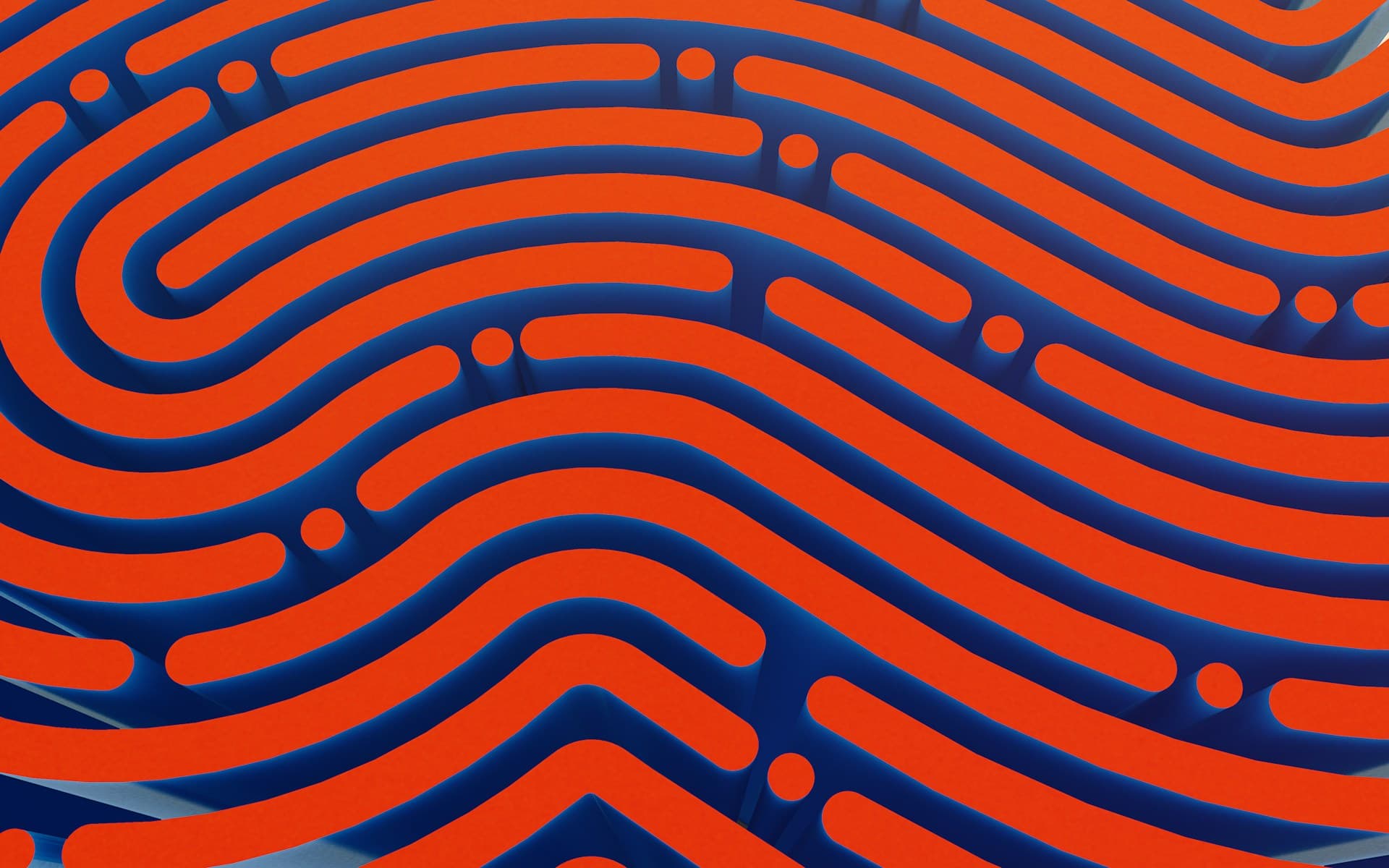 Fingerprint Pattern